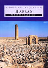 HARRAN MEZOPOTAMYA'YA AÇILAN KAPI